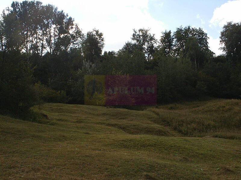 Teren intravilan de vanzare in Telega
