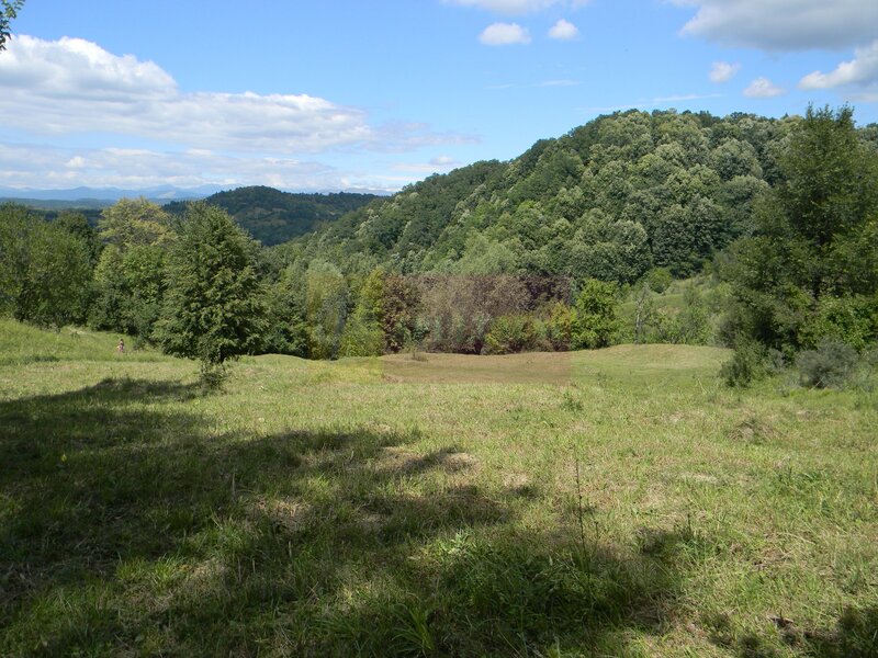 Teren intravilan de vanzare in Telega