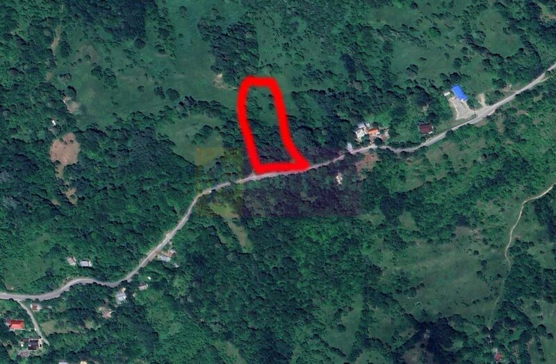 Teren intravilan de vanzare in Telega