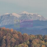 Teren intravilan de vanzare in Telega